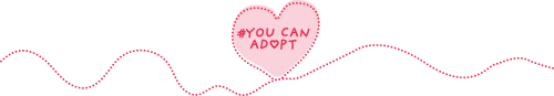 You can adopt logo