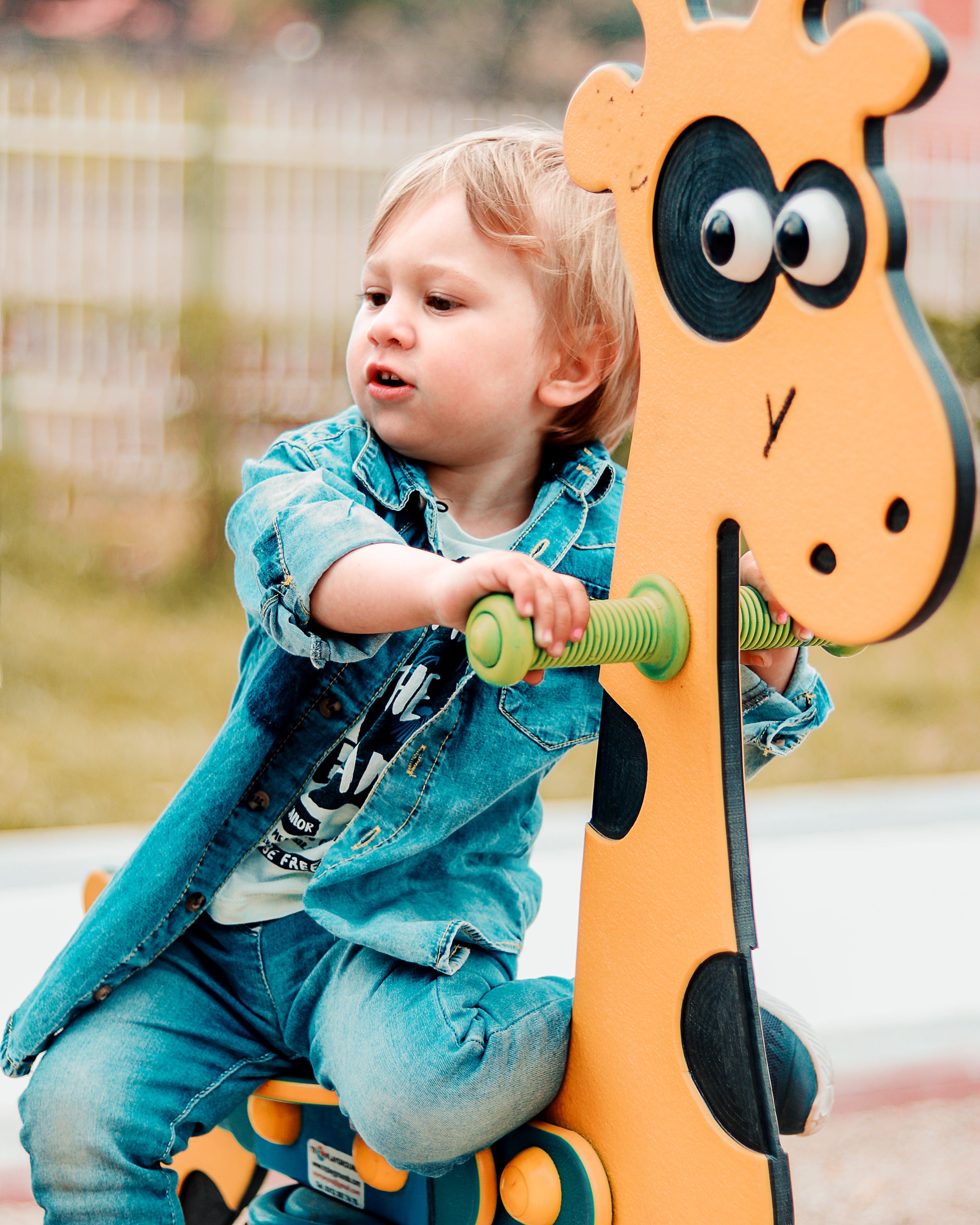 Little boy on Giraffe see-saw