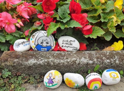 painted rocks