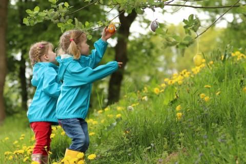 Adoption Now Girl Siblings - could you adopt siblings?