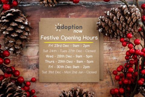 Adoption Now Twenty Twenty Two Opening Hours