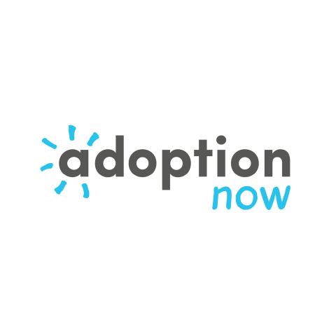 Adoption Now Logo
