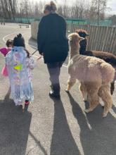 Children Walking the Alpaca at the Adoption Now Adoption Fun Day