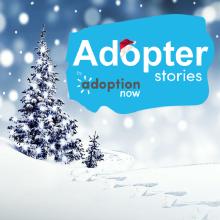 Adopter Stories by Adoption Now Podcast Christmas Artwork