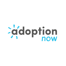 Adoption Now Logo